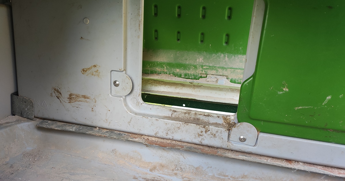 Porte pour accéder au perchoir / pondoir