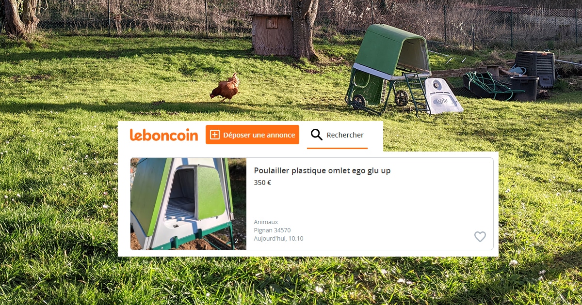 Poulailler Omlet d'occasion Leboncoin