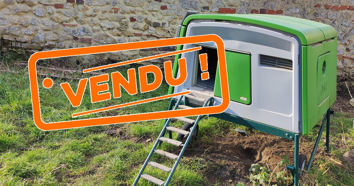 Pourquoi c'est intéressant d'acheter un poulailler Omlet d'occasion