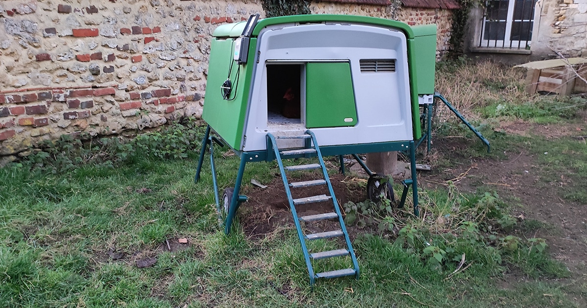 poulailler cube dans le jardin