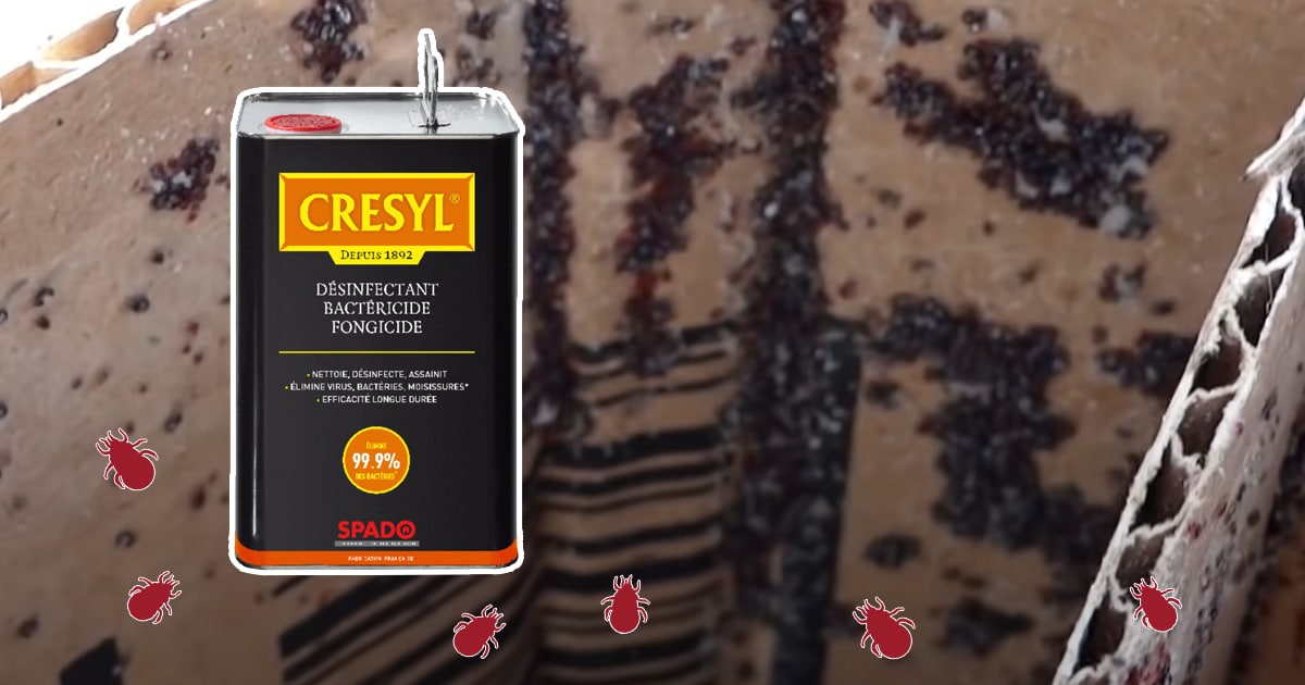Piéger les poux rouges avec du Cresyl
