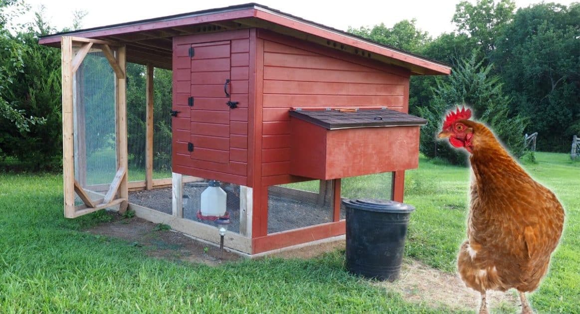 exemple de poulailler en bois pour le jardin